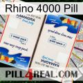 Rhino 4000 Pill kamagra1